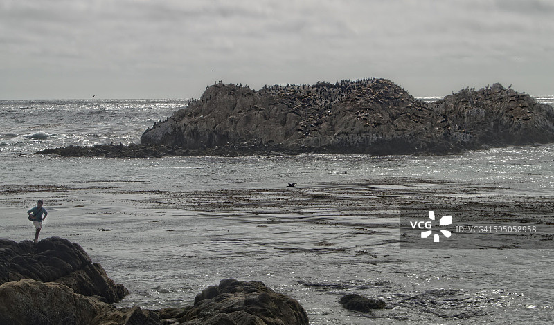 像当地人一样旅行 - 在海豹滩前岩石上摆姿势拍照的男子图片素材