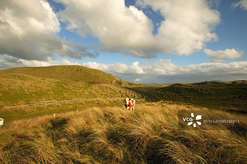 Inishowen半岛Malin Head附近风景图片素材