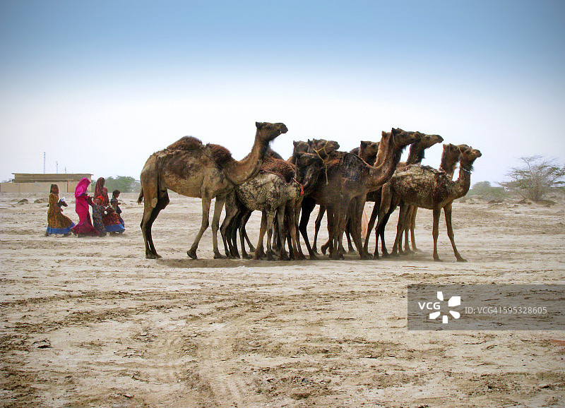 兴格拉杰朝圣图片素材