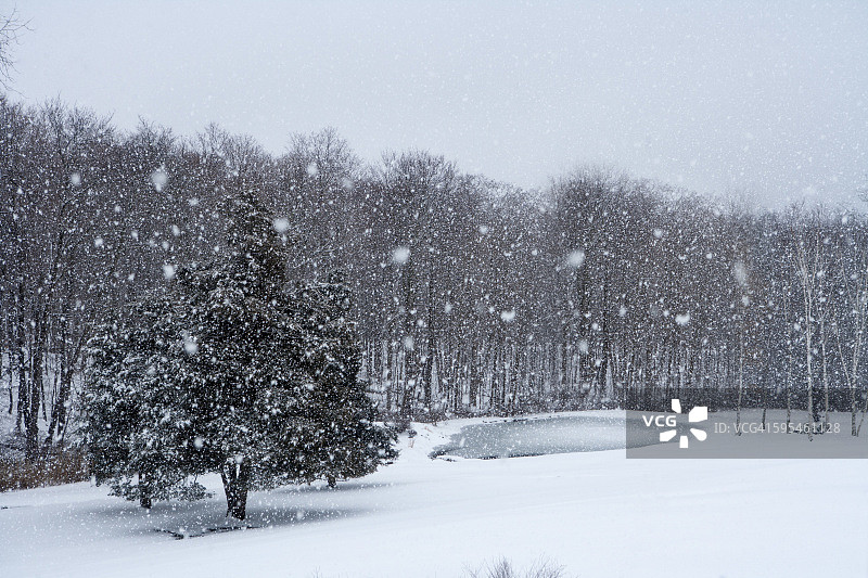 冬季景观中树木和池塘上的降雪图片素材