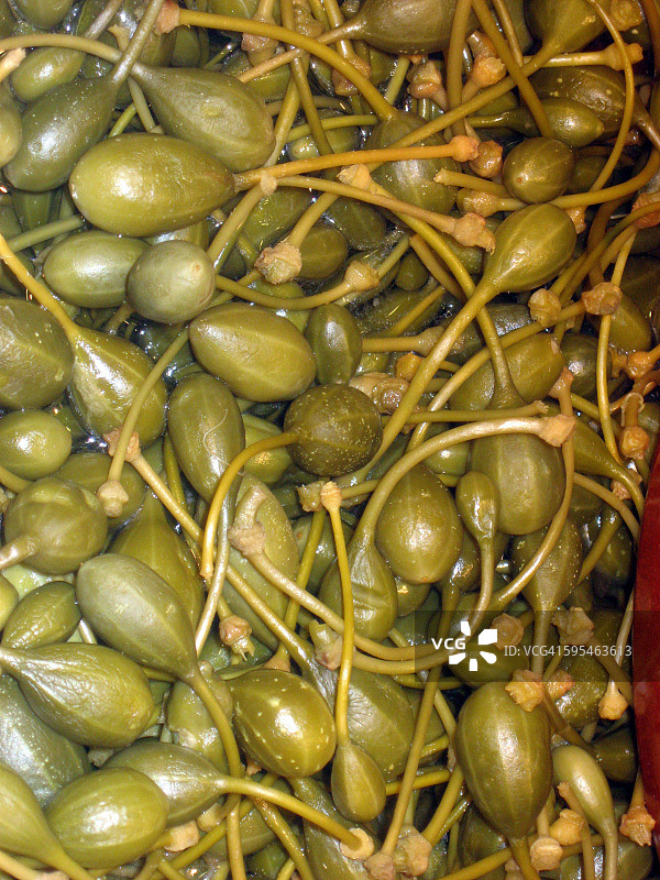 刺山柑果图片素材