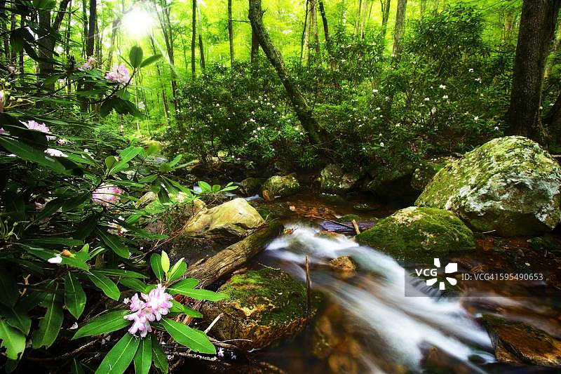 玫瑰水图片素材