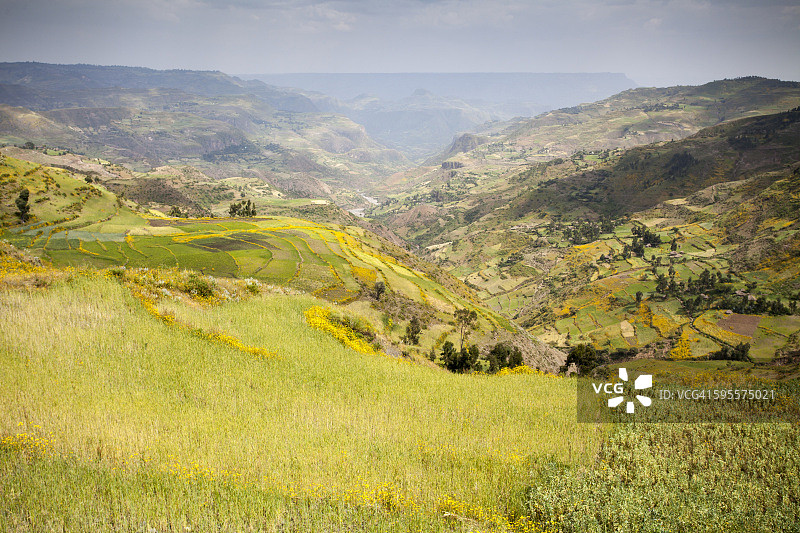 埃塞俄比亚高地的耕地图片素材