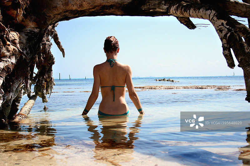 穿比基尼的年轻女人在树下水中行走，后视图图片素材