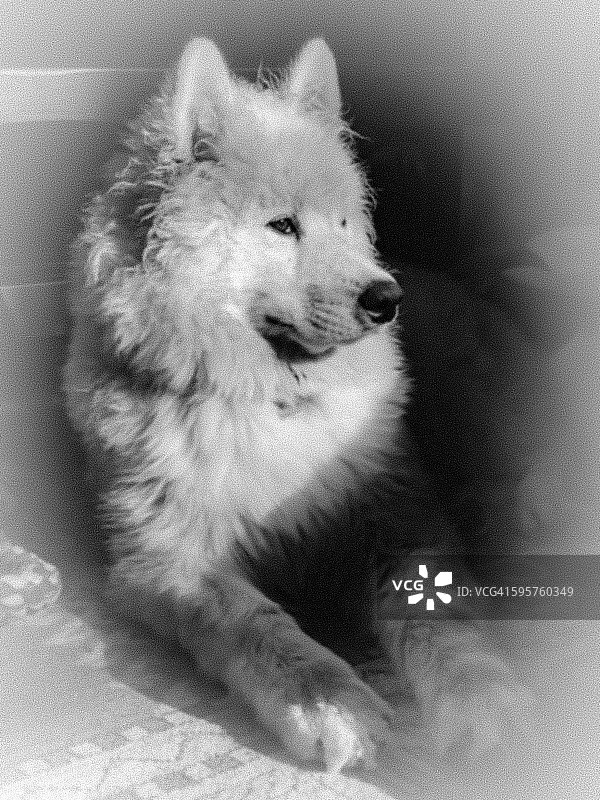 本月最佳图片素材