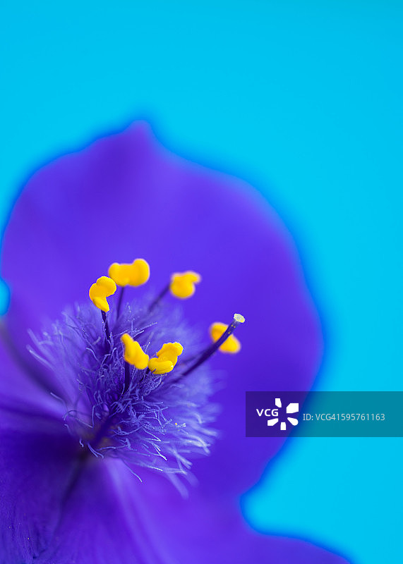 感觉颜色图片素材