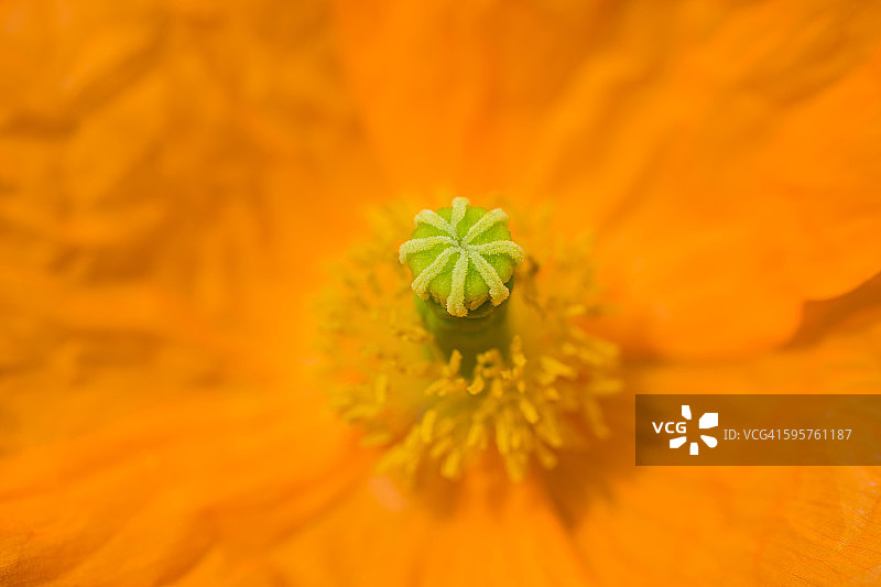 感觉颜色图片素材