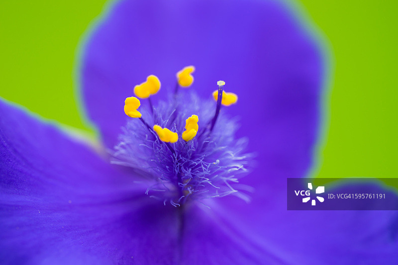 感觉颜色图片素材