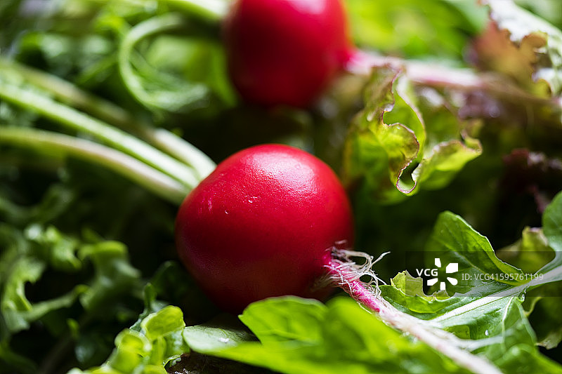 感觉颜色图片素材