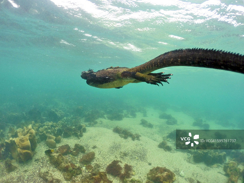 本月最佳图片素材