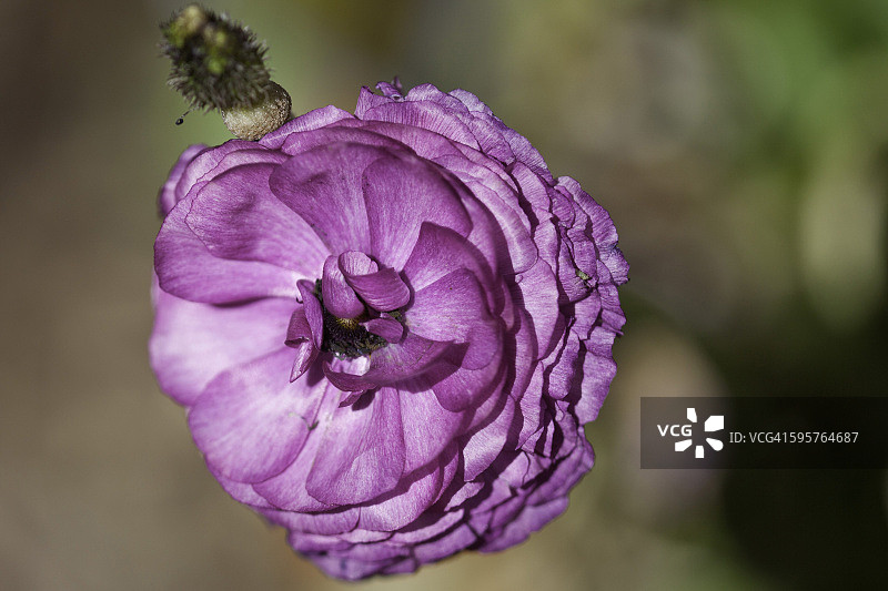 感觉颜色图片素材