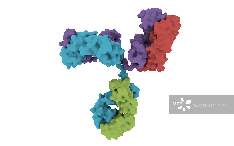 抗体3D模型图片素材