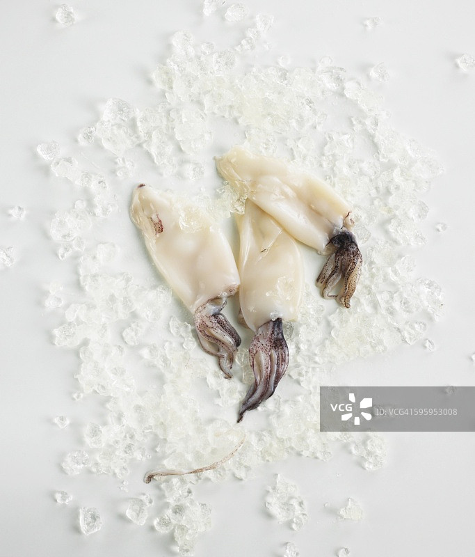 碎冰上的三只鱿鱼图片素材