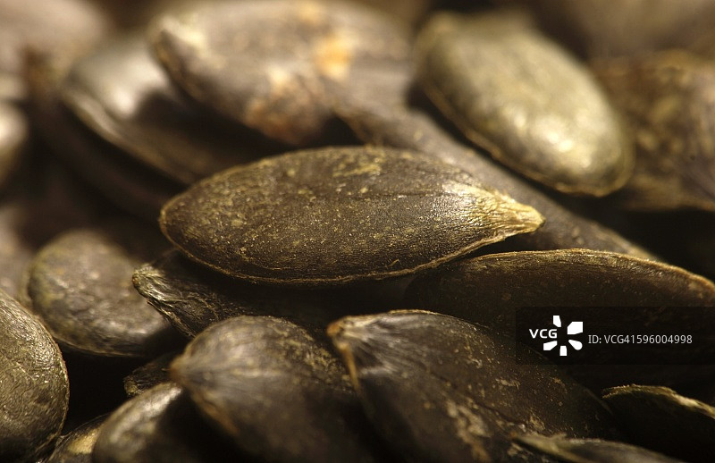 南瓜种子图片素材