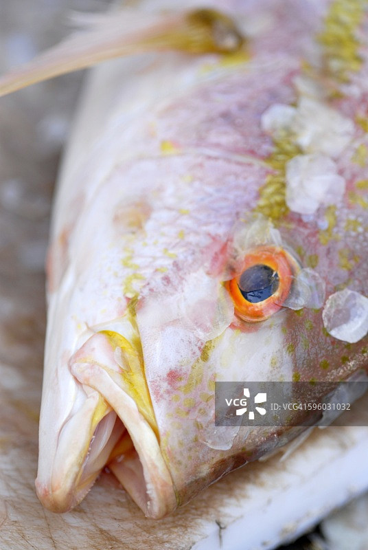 去鳞后的红鱼图片素材