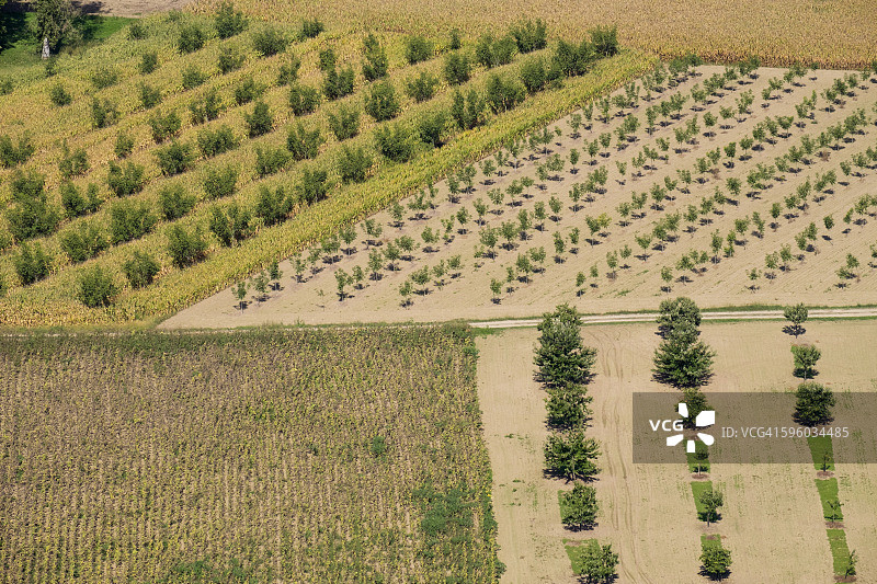 法国多姆图片素材