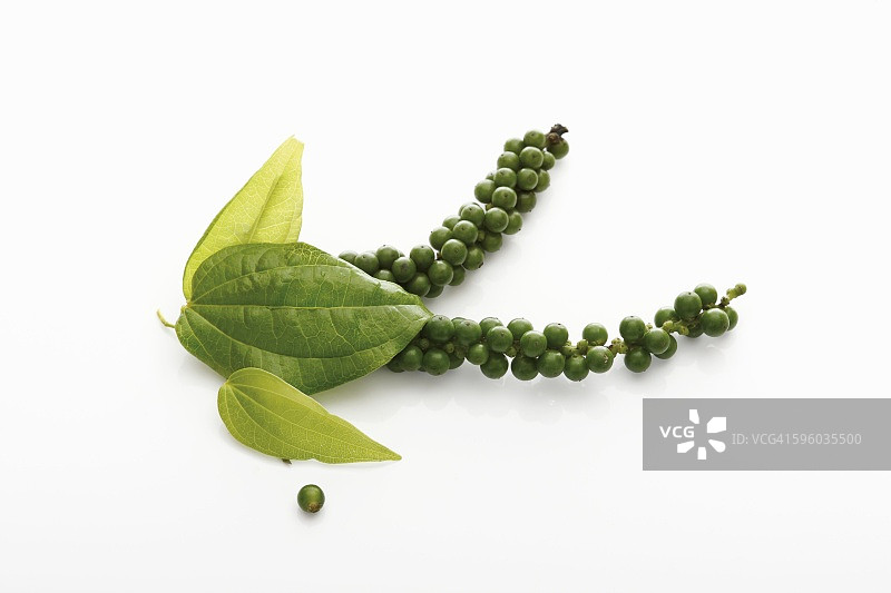 成簇的绿胡椒与叶子图片素材