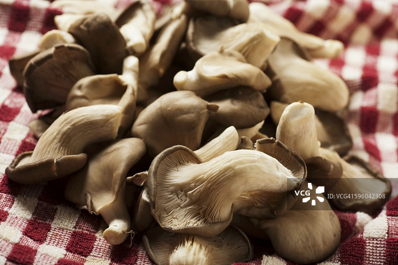 生鲜鲍鱼菇图片素材