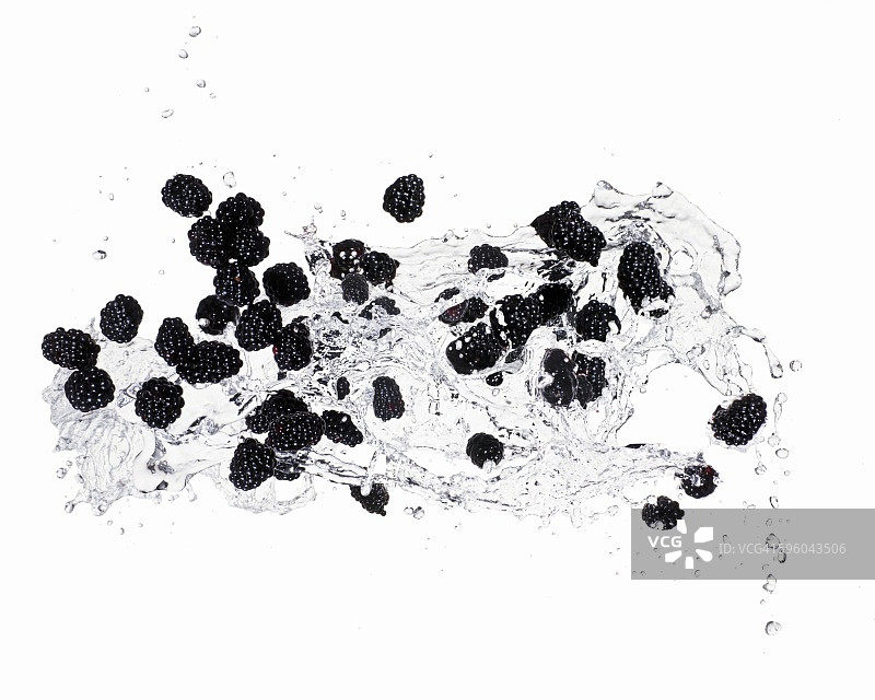 黑莓与水花图片素材