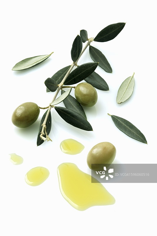 橄榄枝和橄榄油图片素材