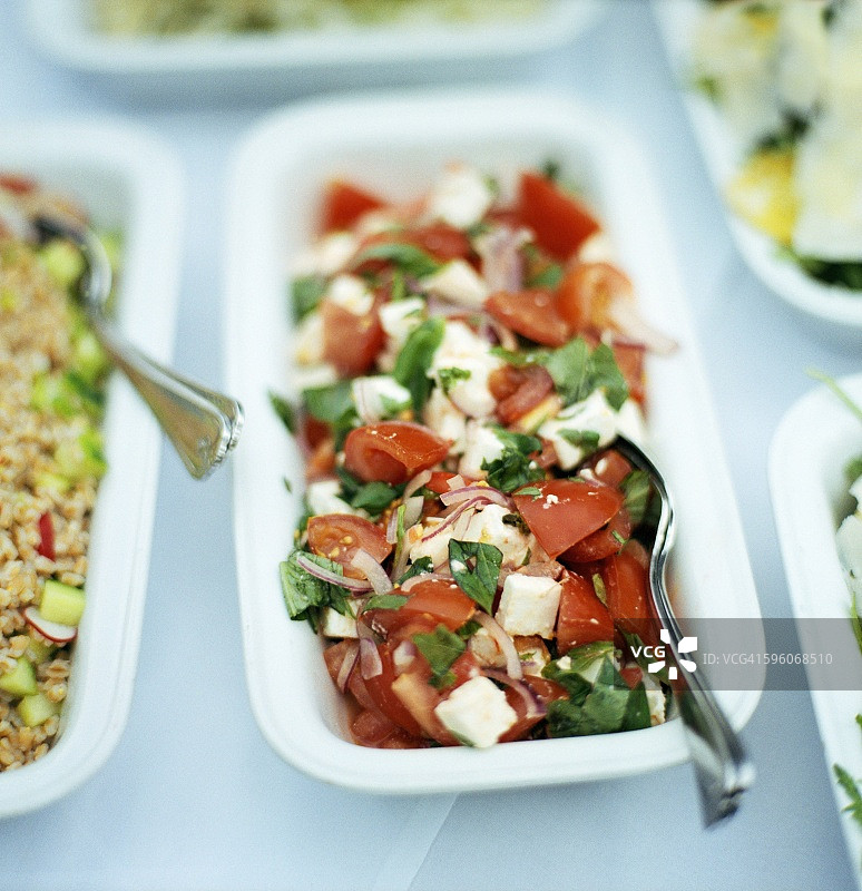 番茄绵羊奶酪沙拉图片素材