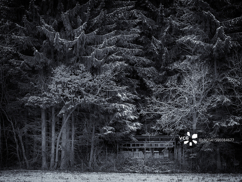 蜂场初雪图片素材