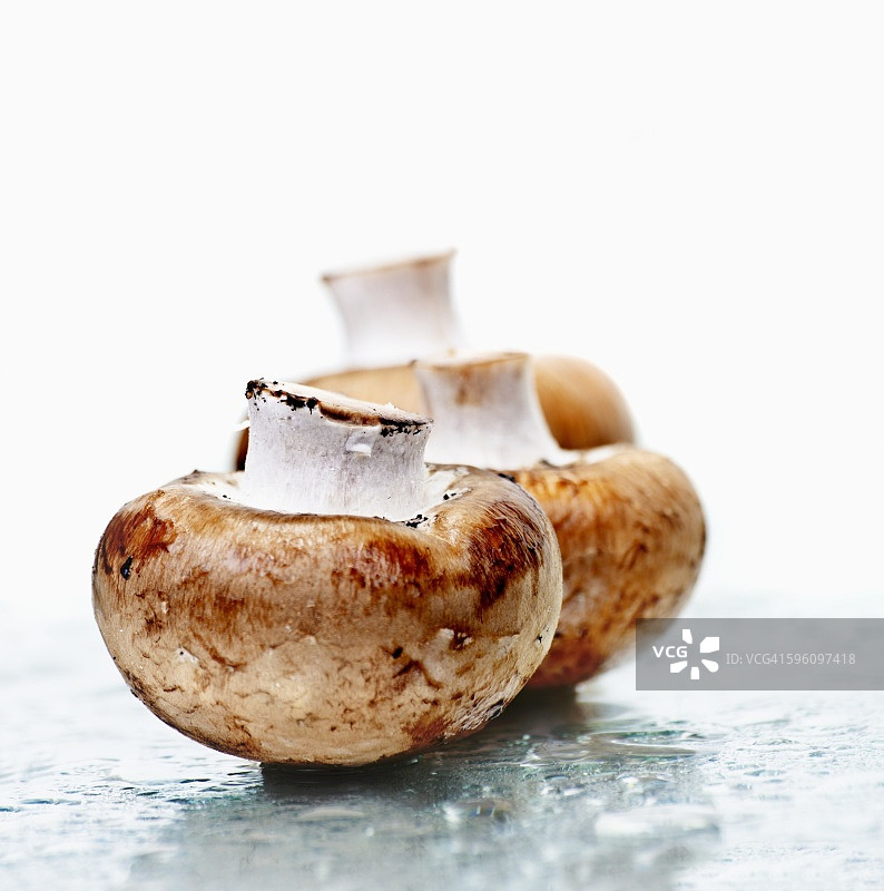 潮湿镜子上的三个棕色蘑菇图片素材