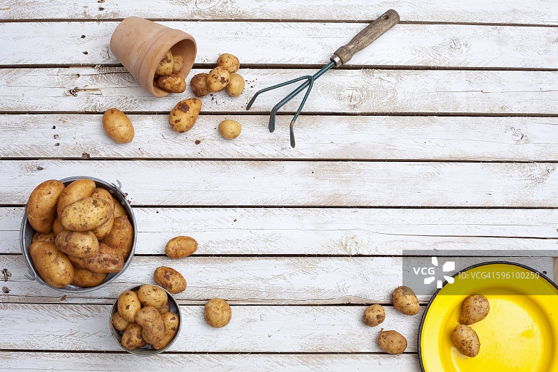 桶里、陶罐和盘子里的新土豆图片素材