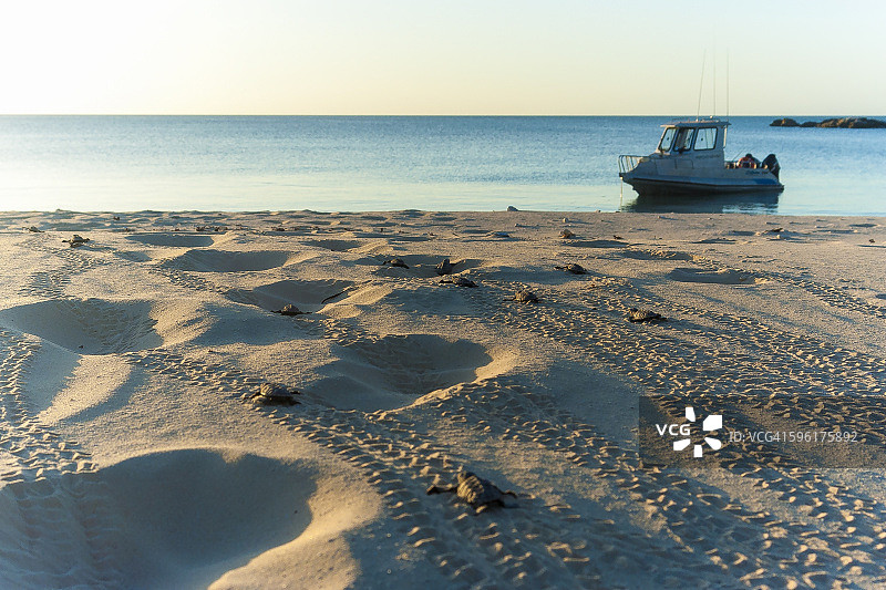 前往海洋的旅程图片素材