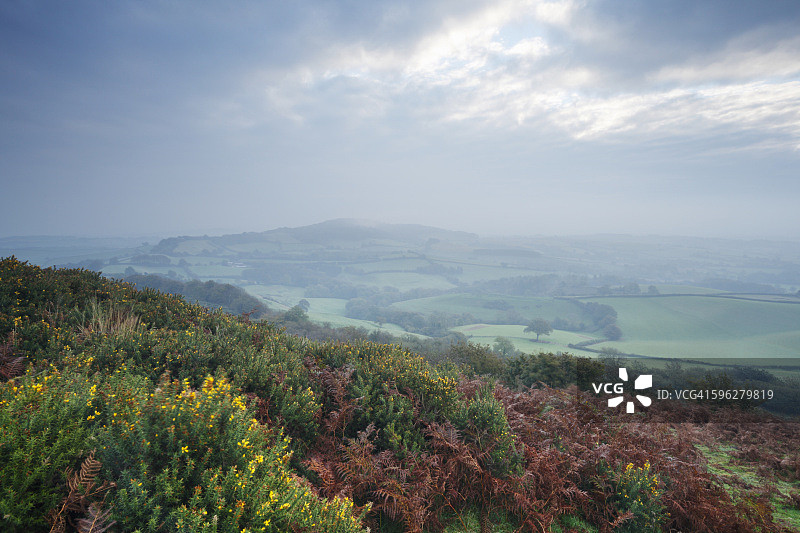 雾蒙蒙的秋日清晨图片素材