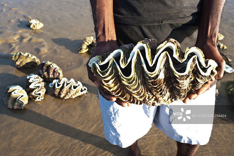 男人出售巨型砗磲贝壳（马达加斯加）图片素材