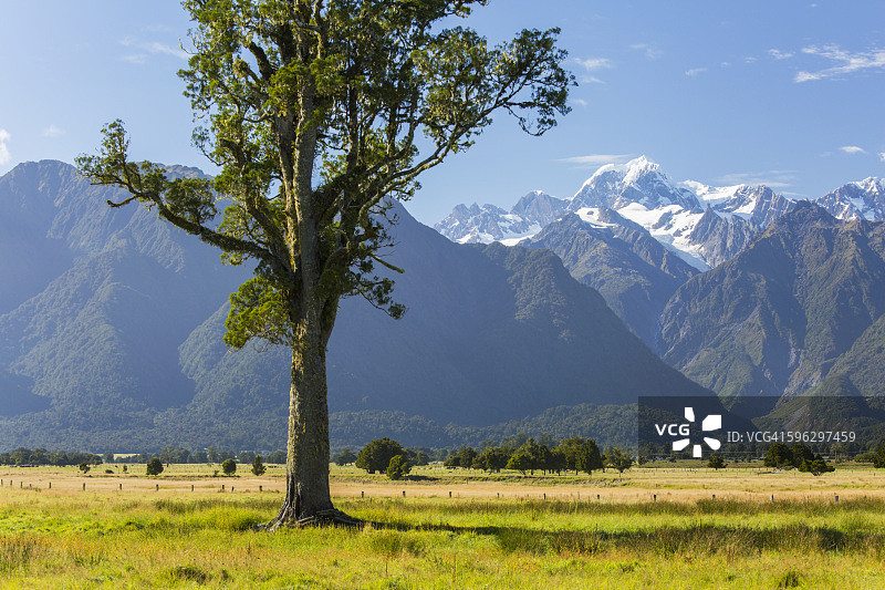 眺望塔斯曼山顶峰，福克斯冰川图片素材