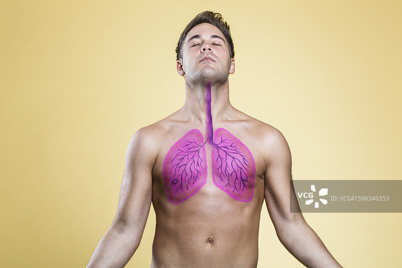 男人的肺部图片素材