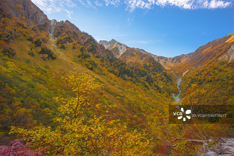 唐泽Kar，日本枫树与山图片素材