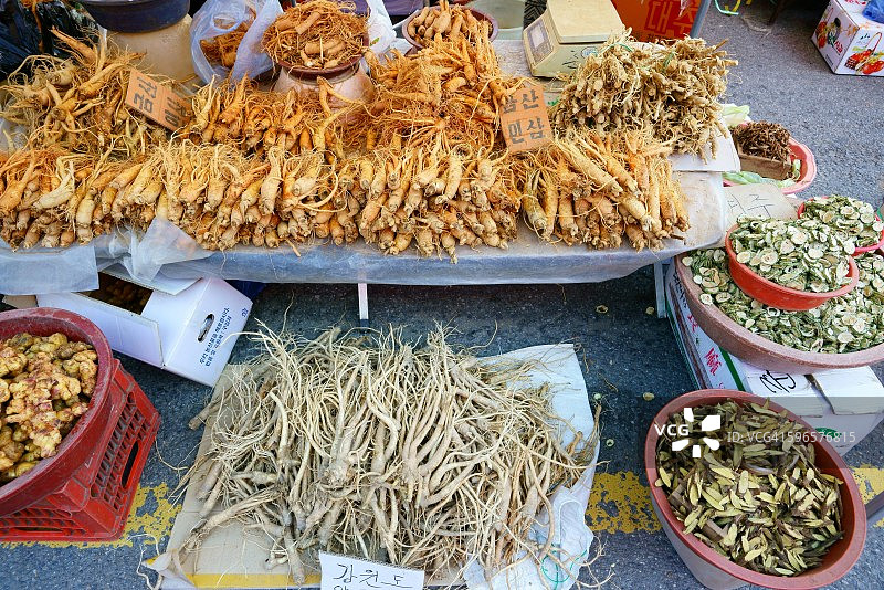 人参和药材图片素材
