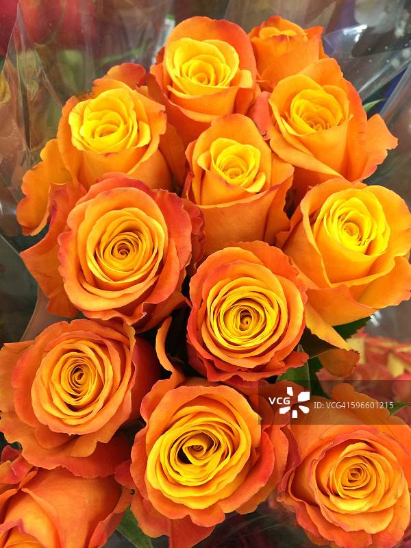 感觉颜色图片素材