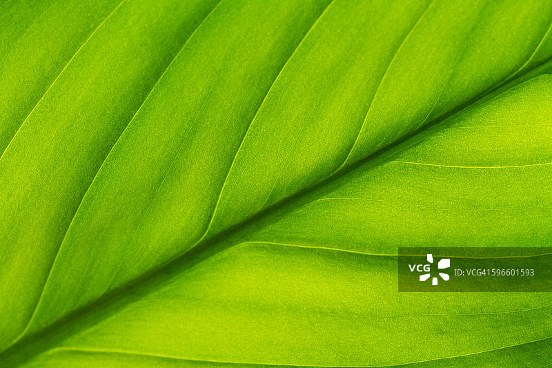 感觉颜色图片素材