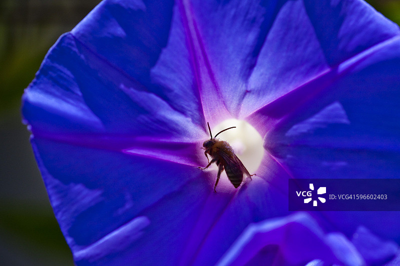 感觉颜色图片素材