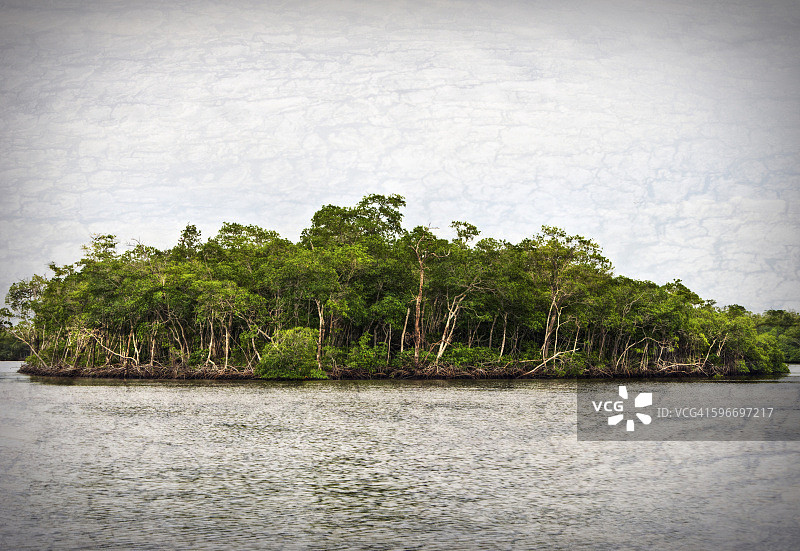 千岛群岛国家公园的红树林岛屿图片素材