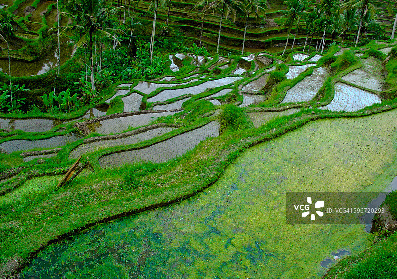 德格拉朗梯田图片素材