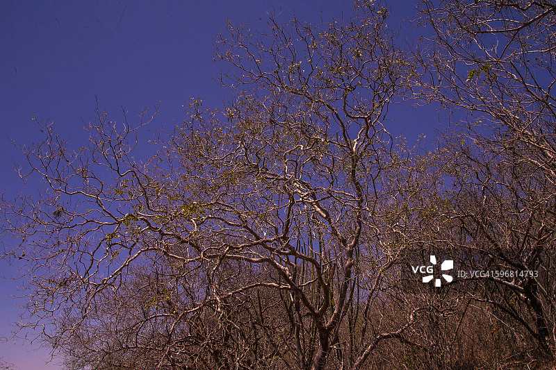 圣弗朗西斯科河上游内陆图片素材
