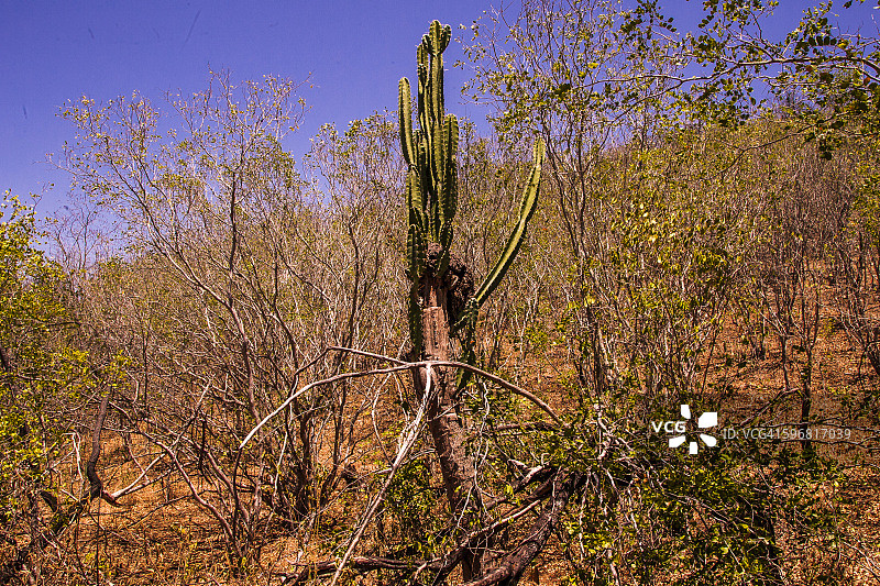 圣弗朗西斯科河上游内陆图片素材