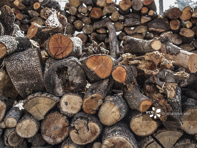 木柴原木图片素材