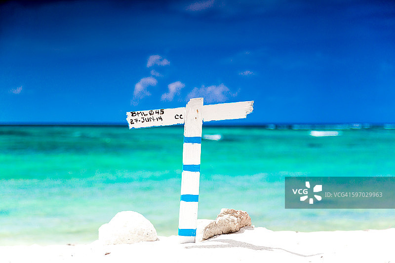 沙滩上的乌龟巢图片素材