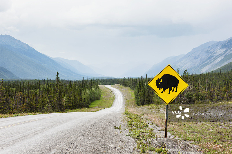 加拿大不列颠哥伦比亚省芒楚湖省立公园，阿拉斯加高速公路上的野牛过路标志图片素材