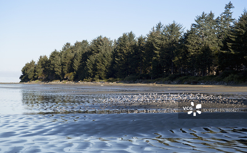 切斯特曼海滩图片素材