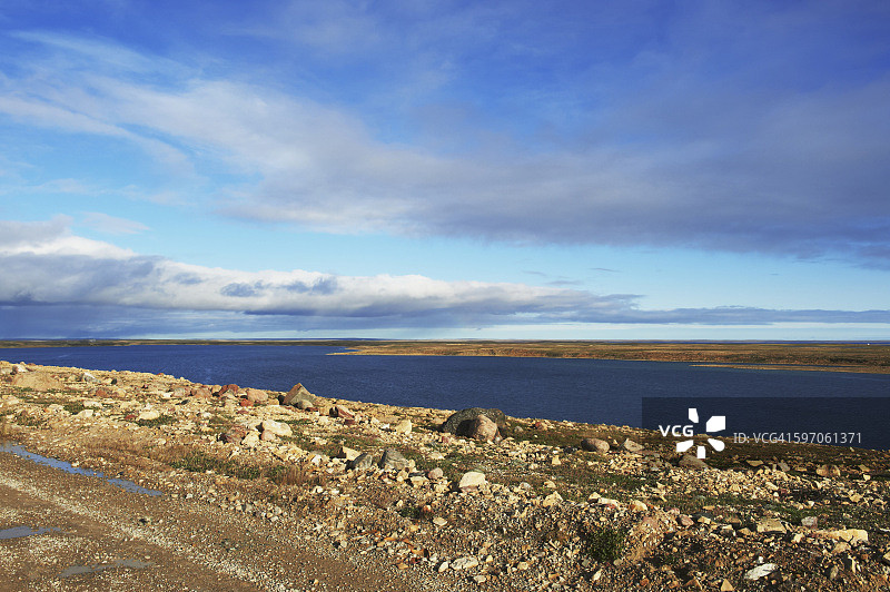 苔原和北冰洋图片素材