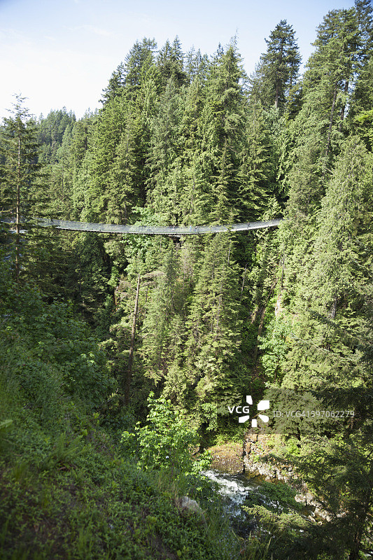 卡皮拉诺吊桥图片素材