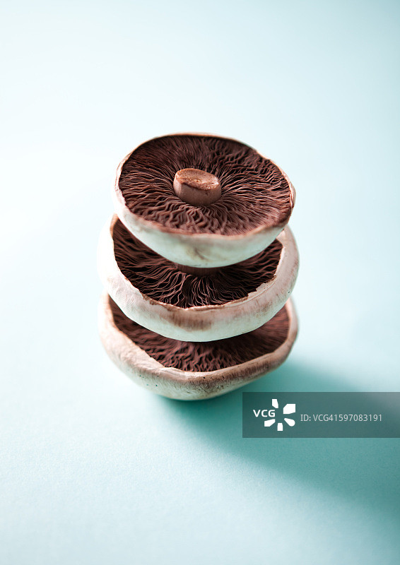 波多贝罗蘑菇图片素材