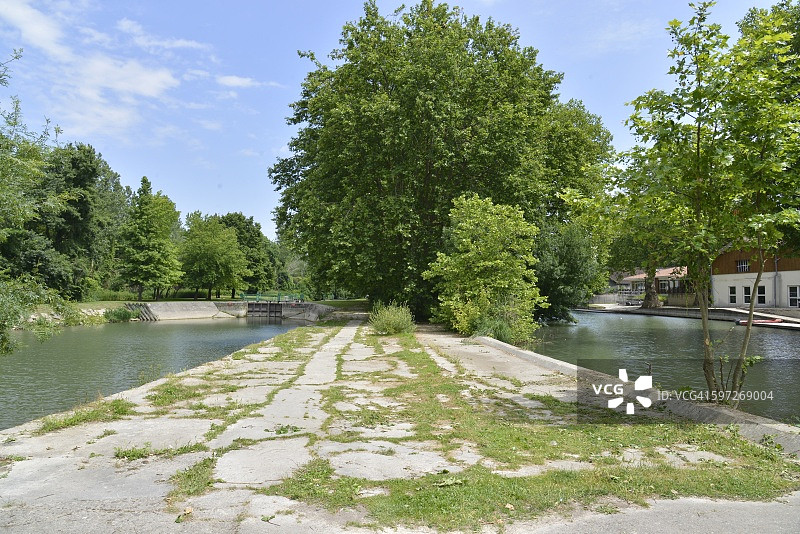 裂缝中生长的草图片素材